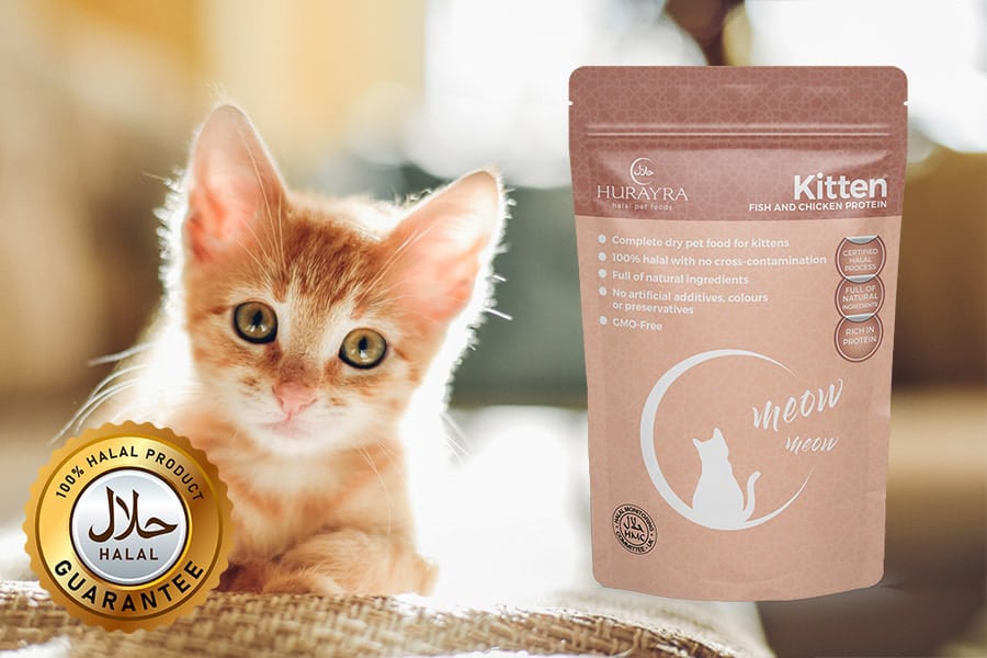 halal-cat-food-for-kittens