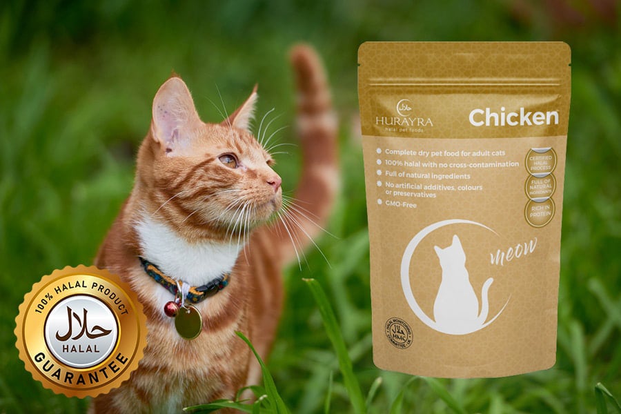 halal-cat-food-chicken-flavour