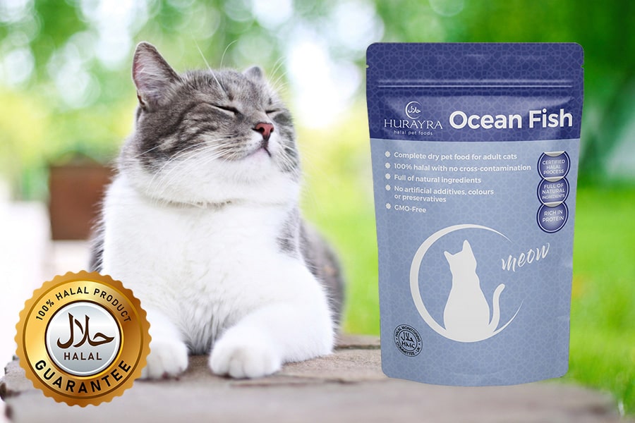 halal-cat-food-ocean-fish-flavour